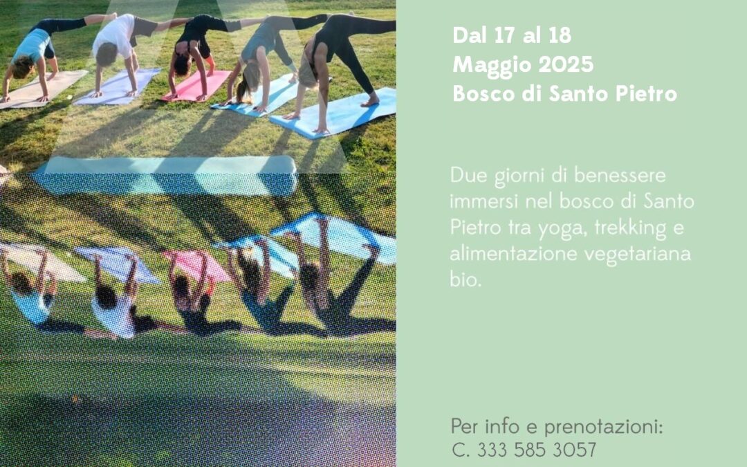 Yoga, esperienza di benessere nel bosco